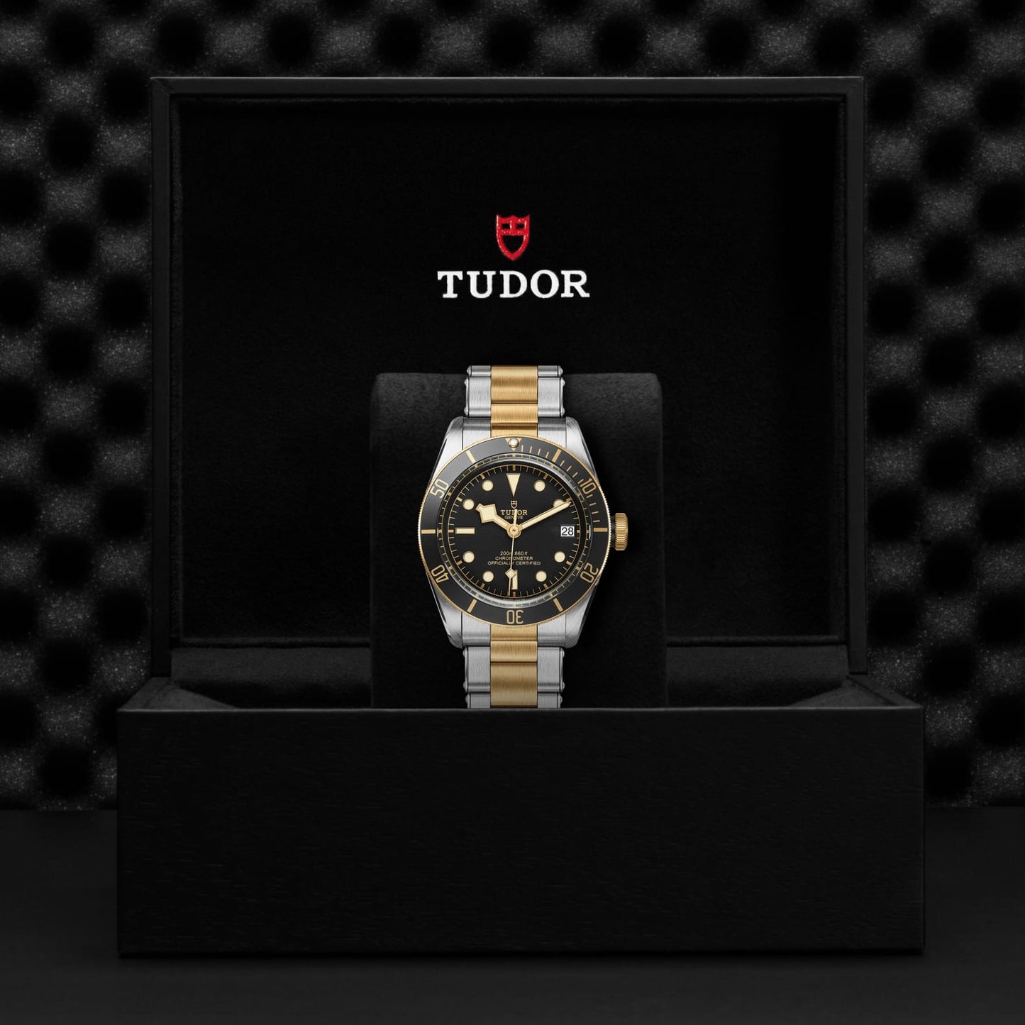TUDOR BLACK BAY S&G M79733N-0008