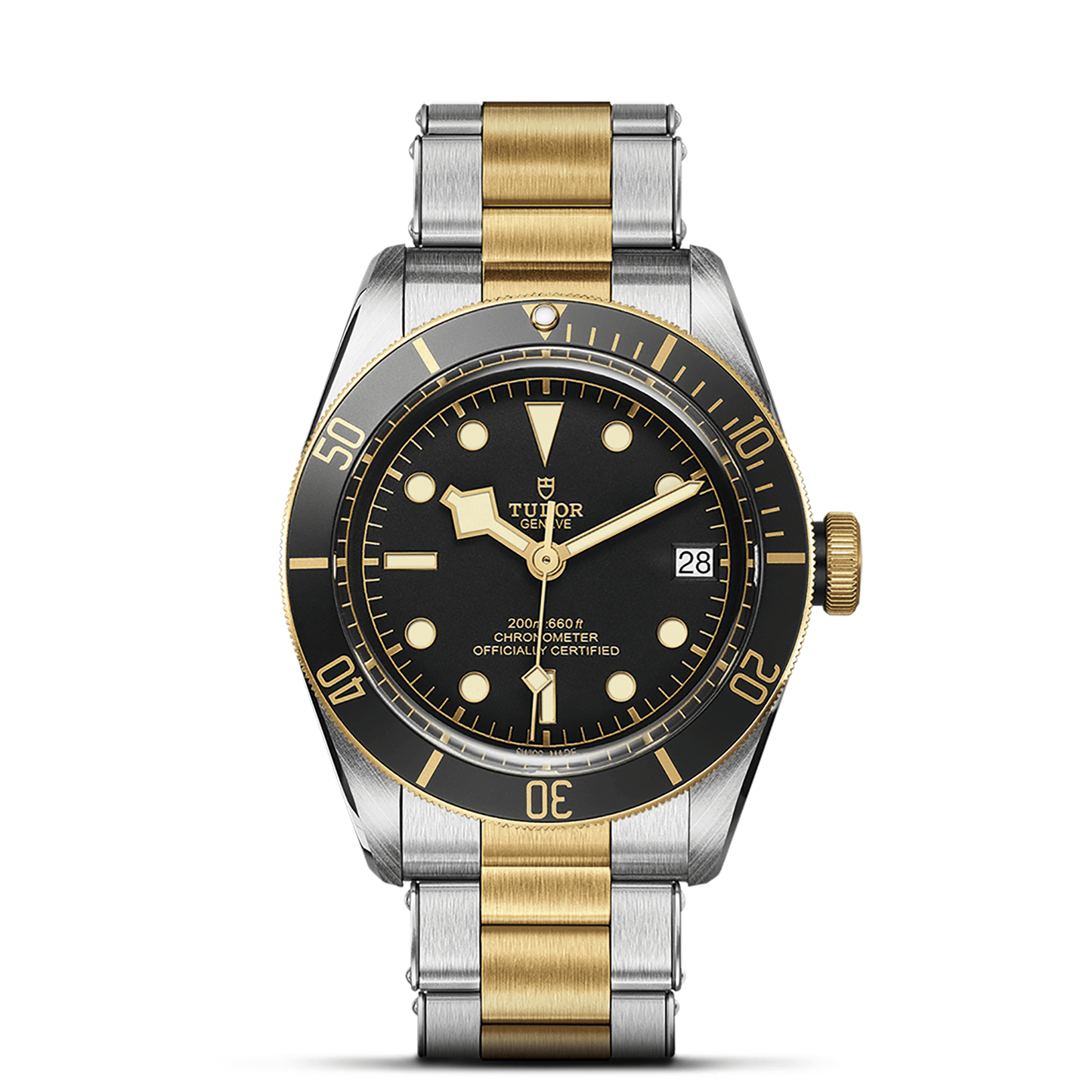 TUDOR BLACK BAY S&G M79733N-0008