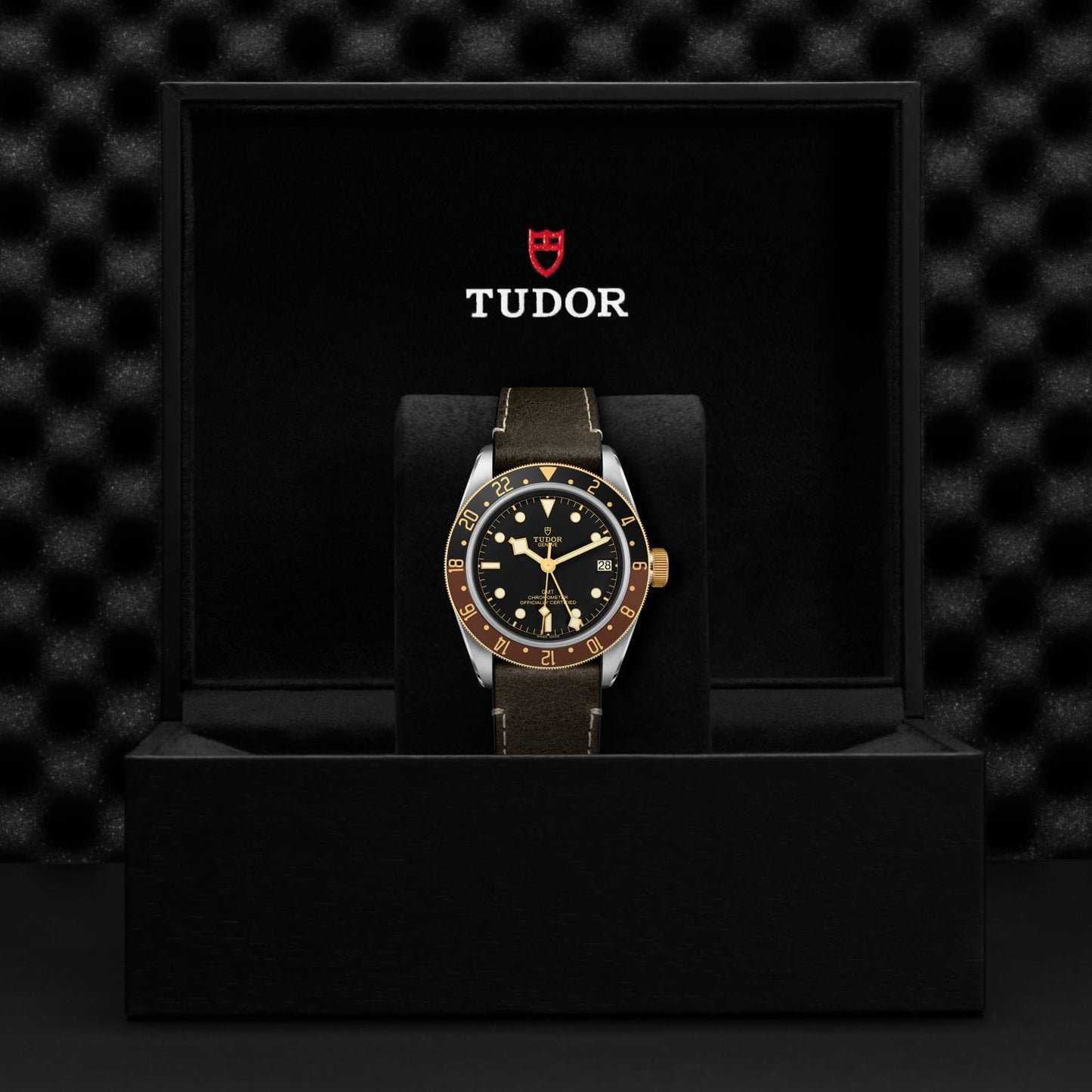 TUDOR BLACK BAY GMT S&G M79833MN-0003