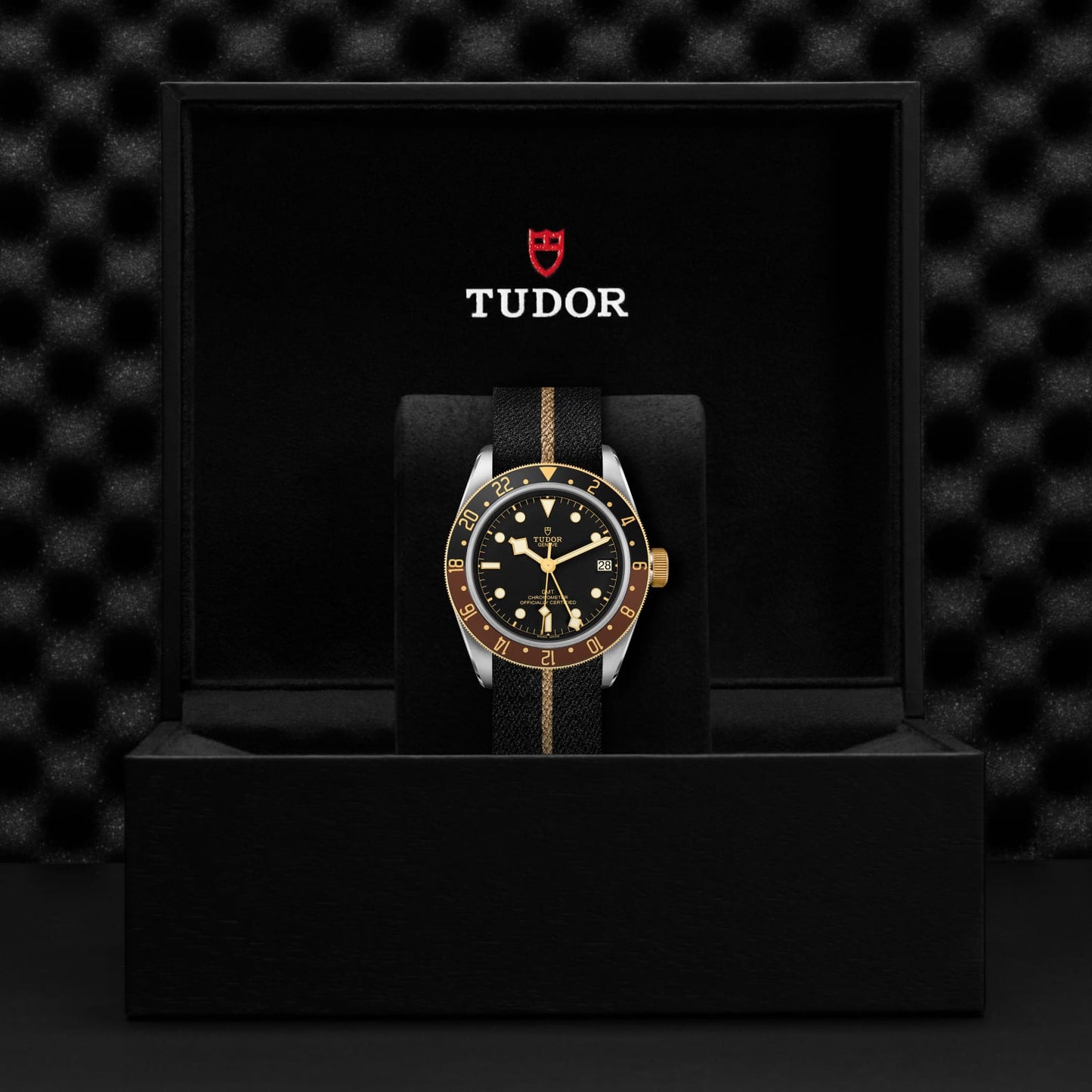 TUDOR BLACK BAY GMT S&G M79833MN-0004