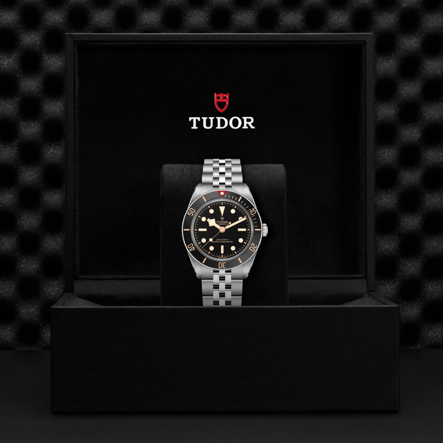 TUDOR BLACK BAY 58 M7939A1A0NU-0001