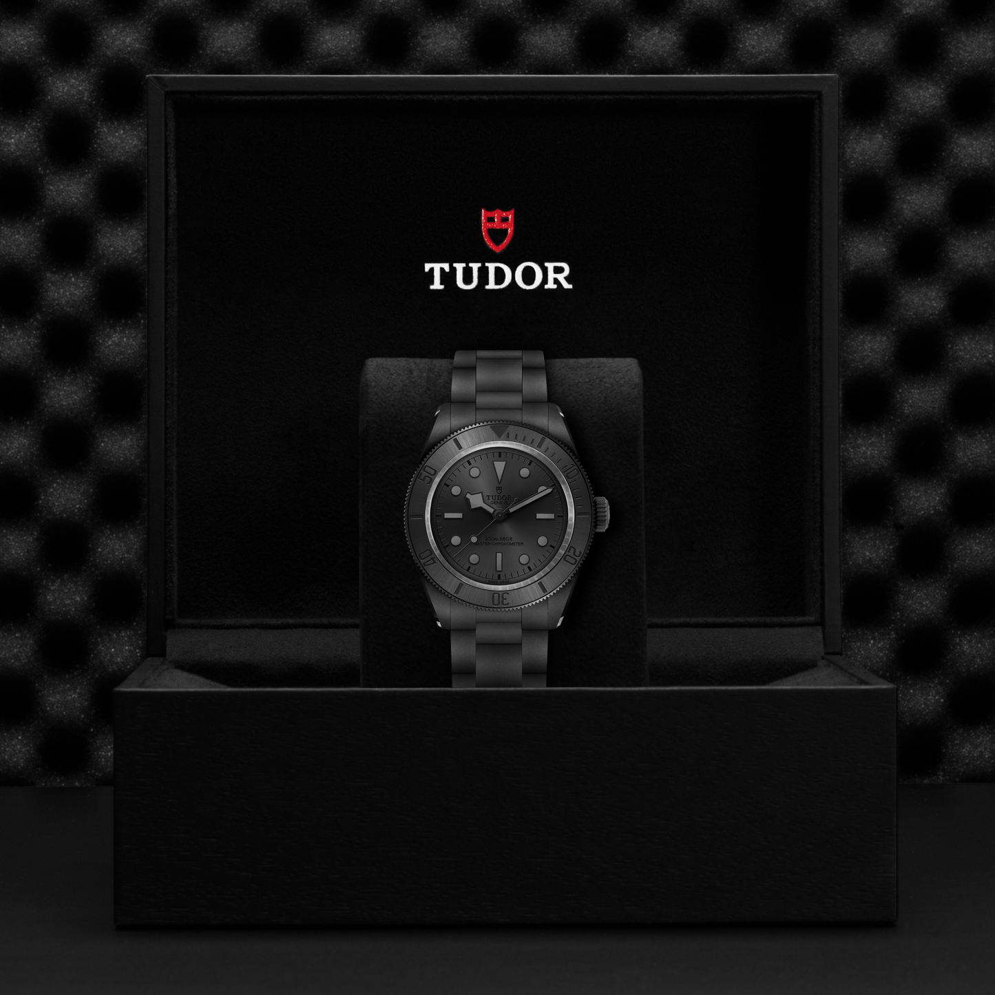 TUDOR BLACK BAY M7941A1ACNU-0001