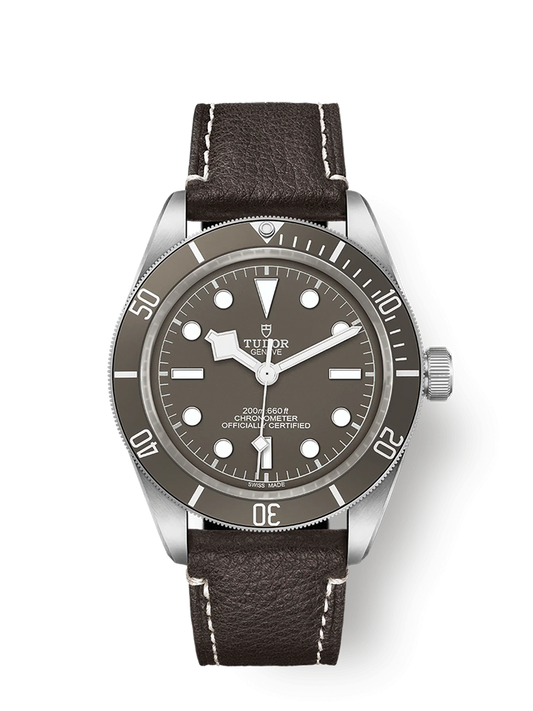 TUDOR BLACK BAY 58 925 M79010SG-0001