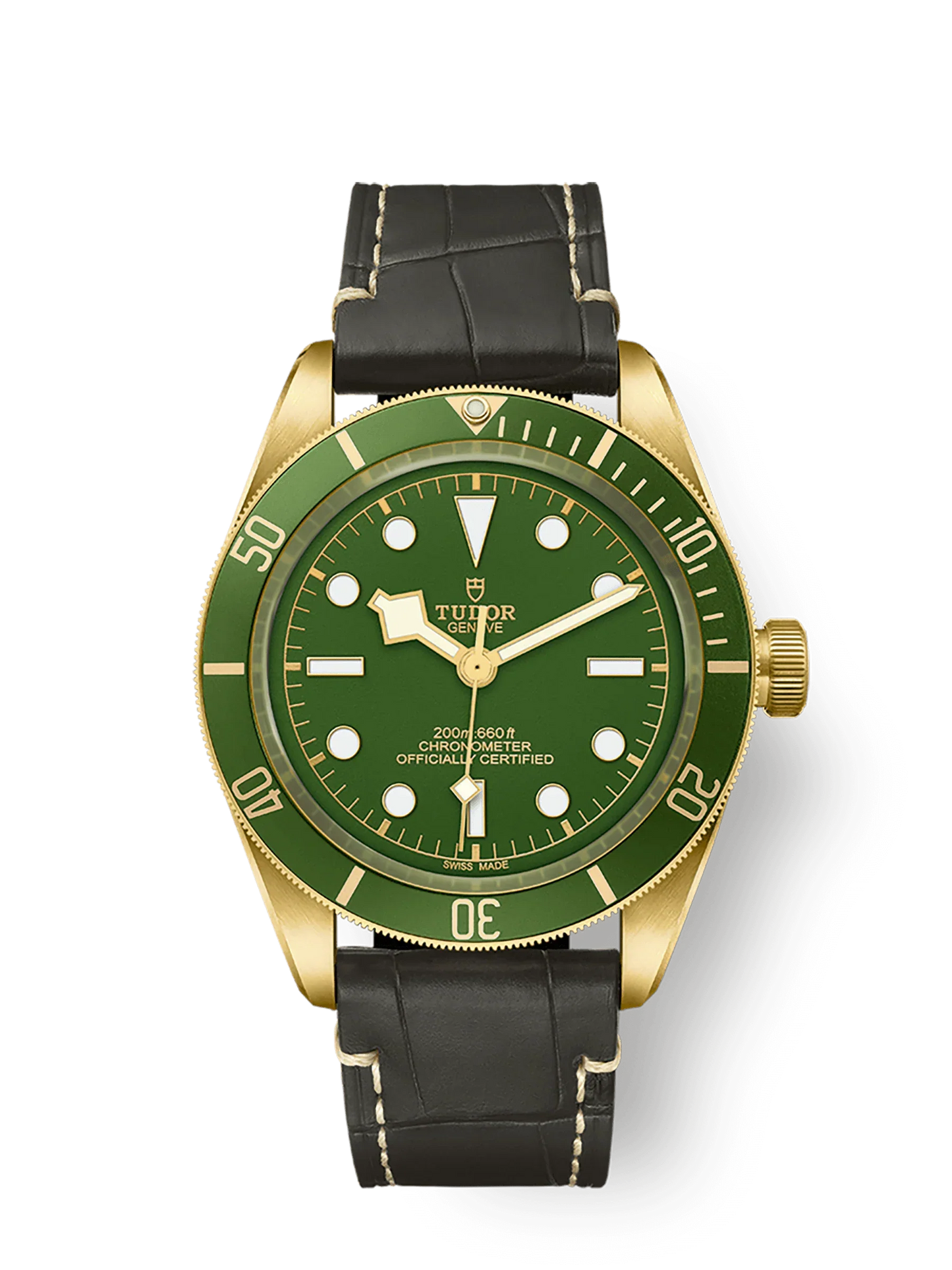 TUDOR BLACK BAY 58 18K M79018V-0001