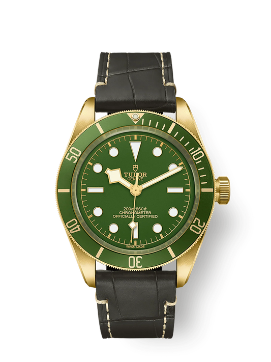 TUDOR BLACK BAY 58 18K M79018V-0001