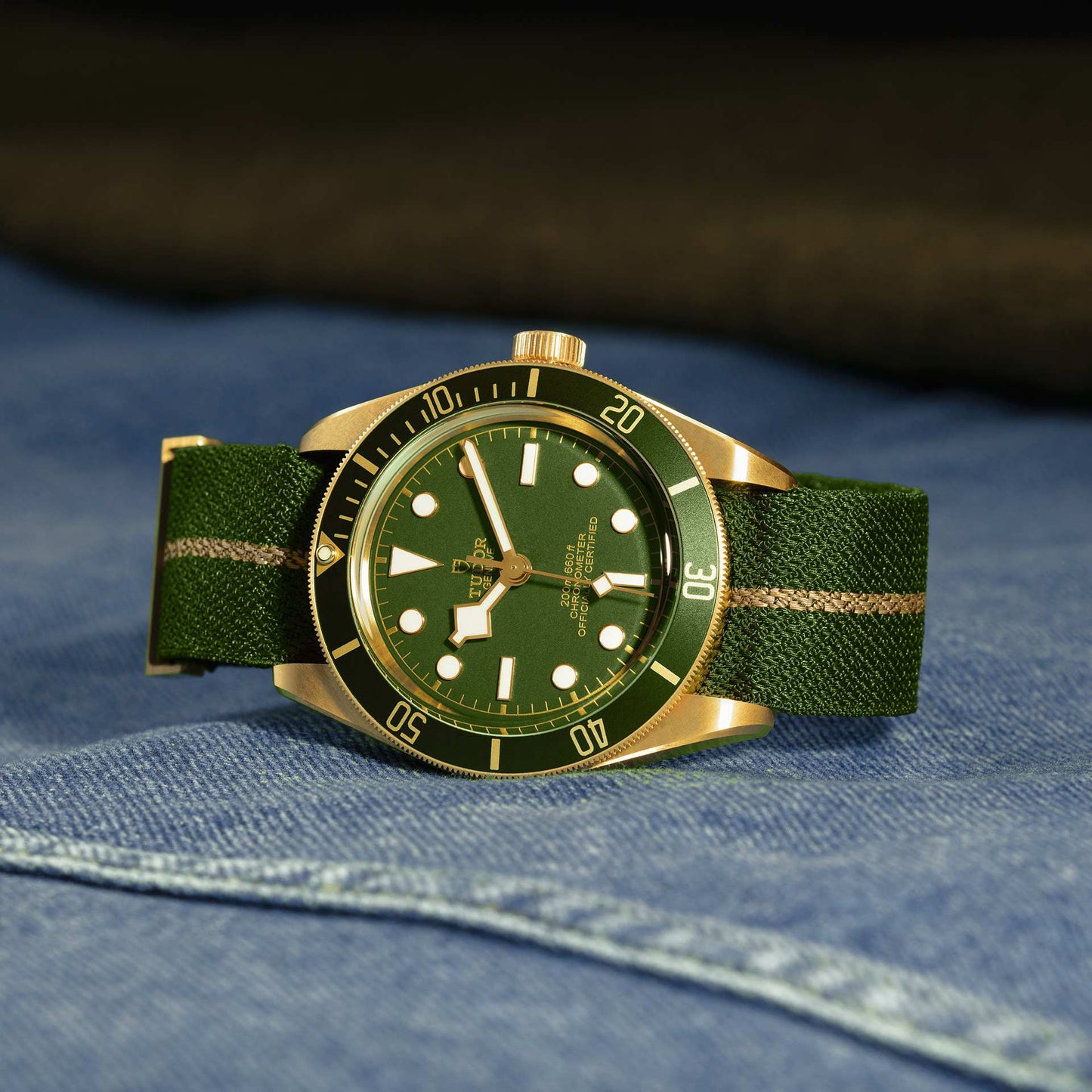 TUDOR BLACK BAY 58 18K M79018V-0001