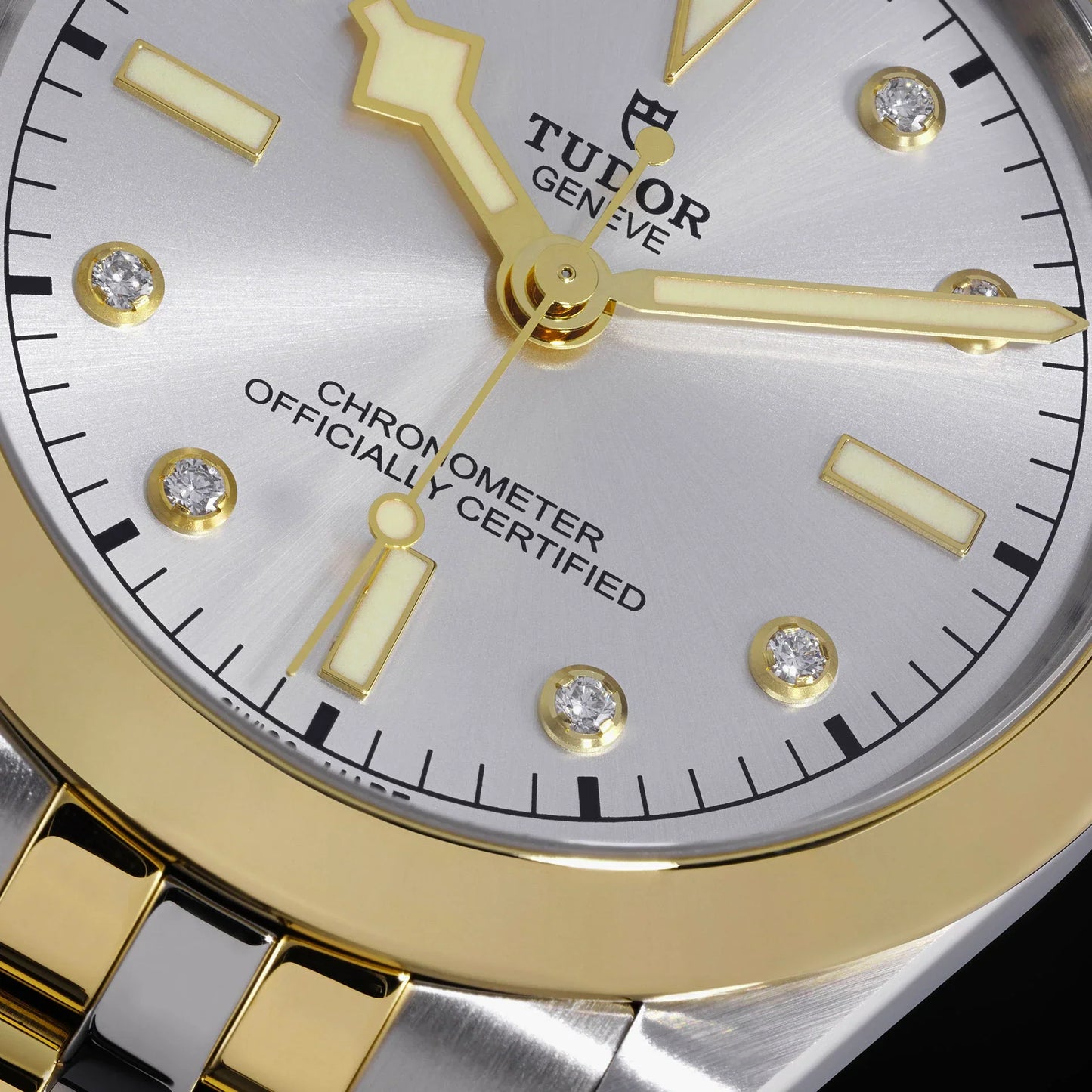 TUDOR BLACK BAY 41 S&G M79683-0002