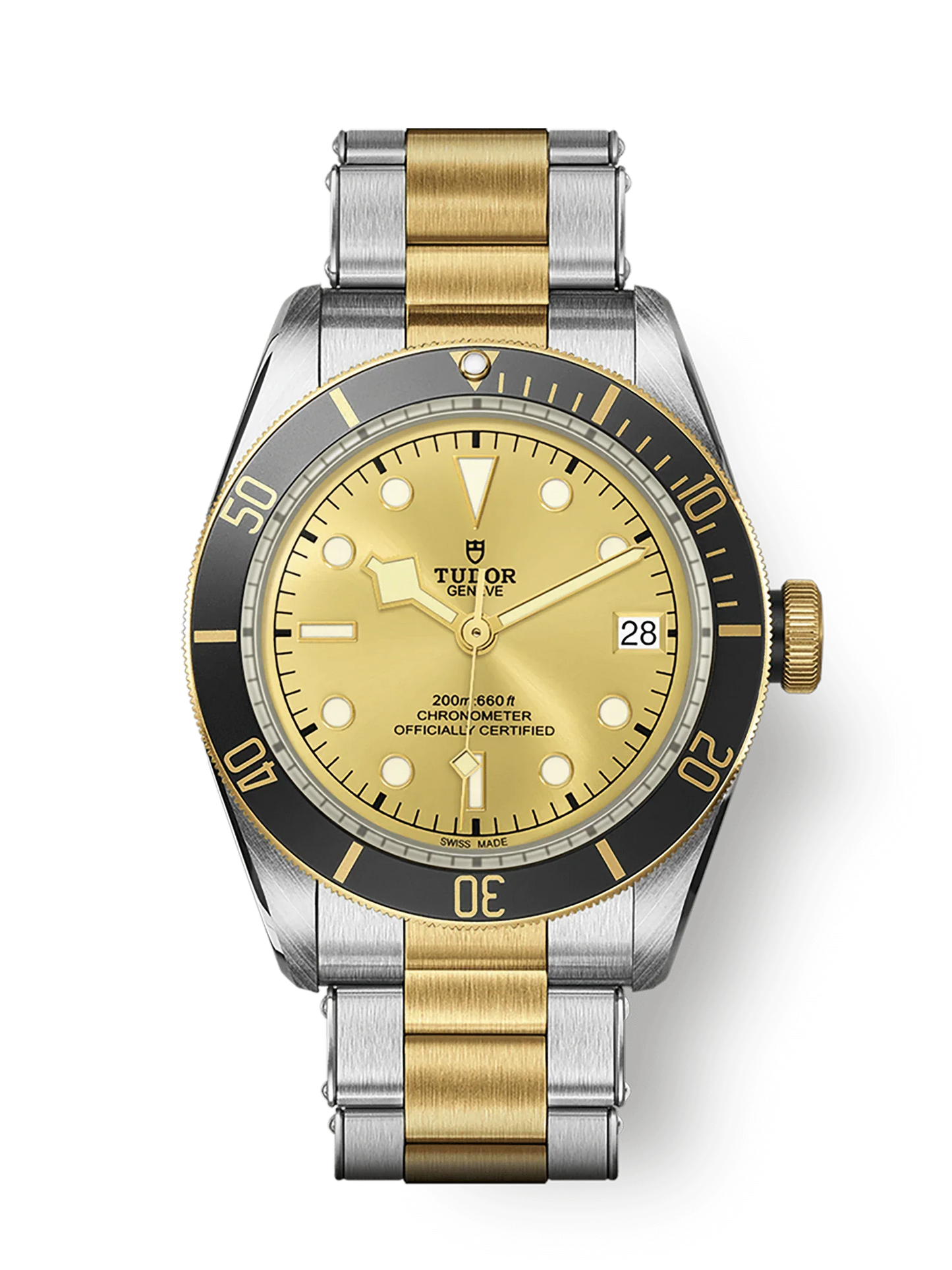 TUDOR BLACK BAY S&G M79733N-0004