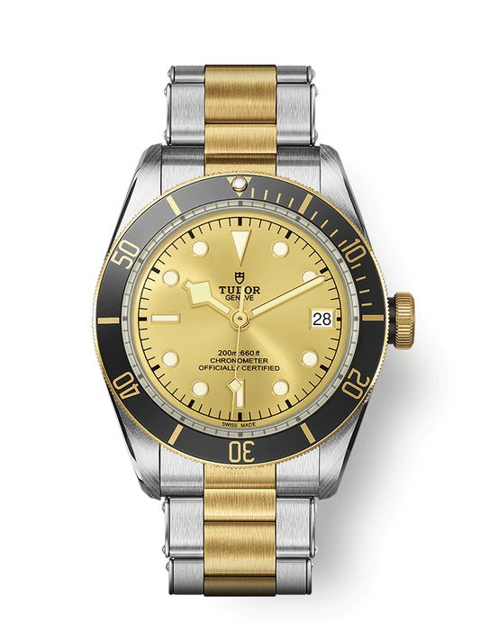 TUDOR BLACK BAY S&G M79733N-0004