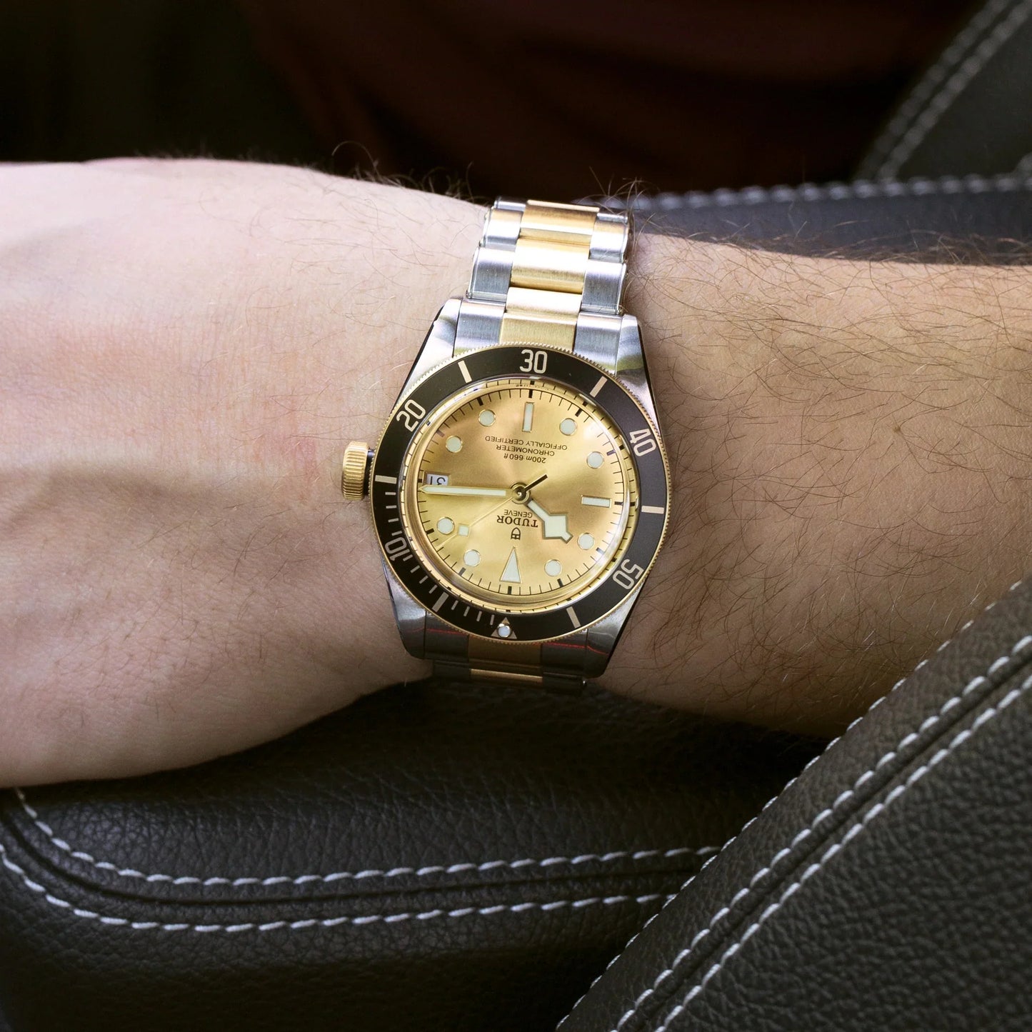 TUDOR BLACK BAY S&G M79733N-0004