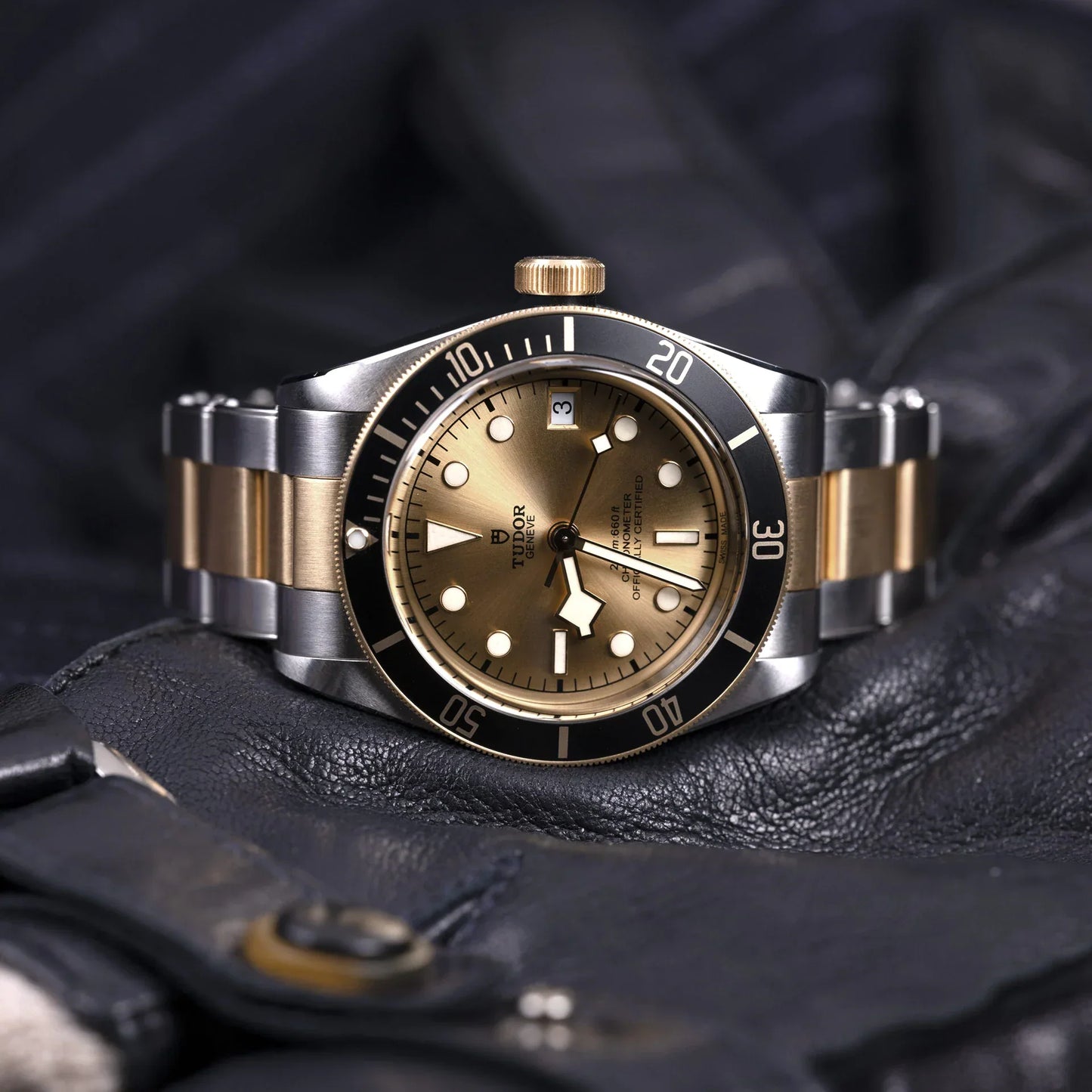 TUDOR BLACK BAY S&G M79733N-0004
