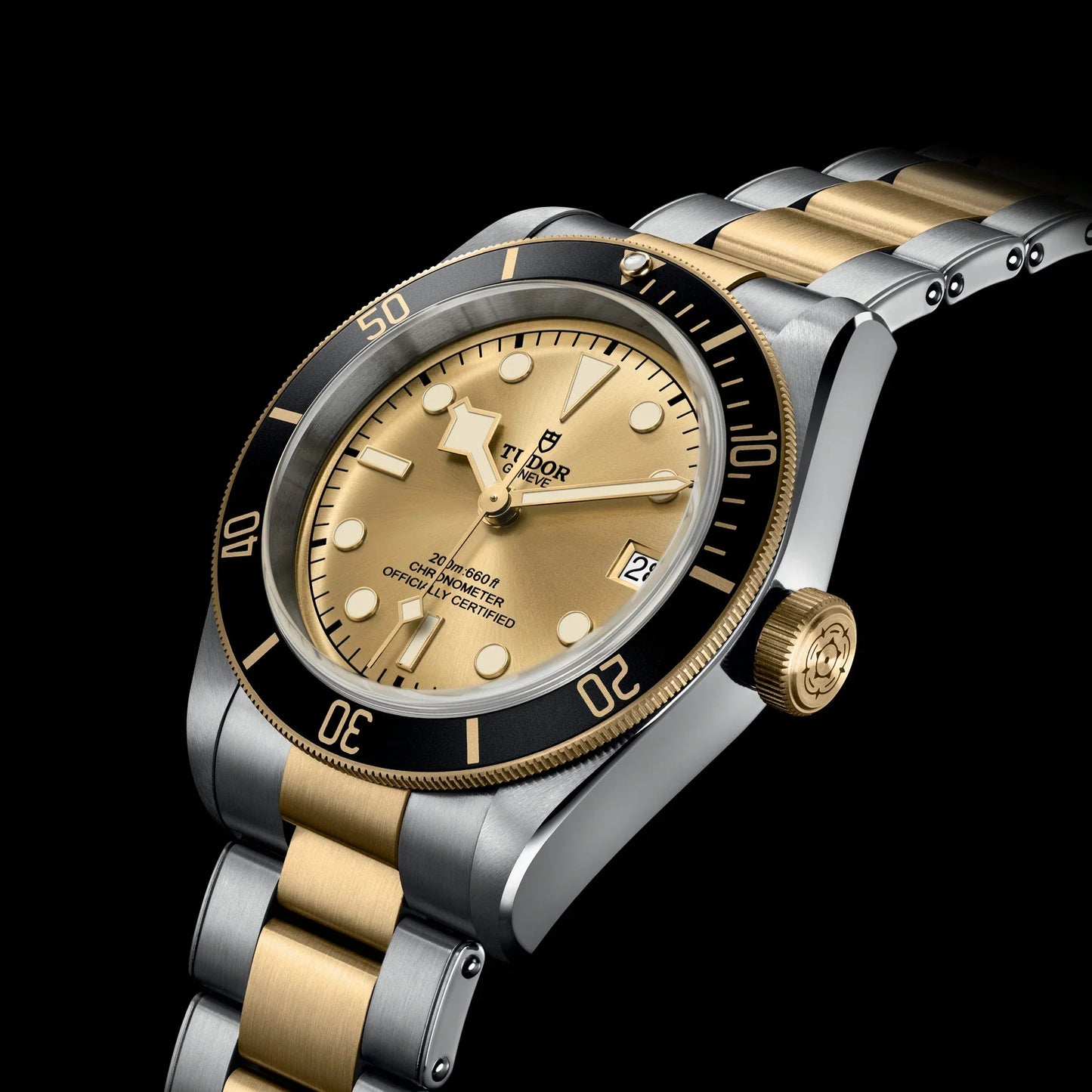 TUDOR BLACK BAY S&G M79733N-0004