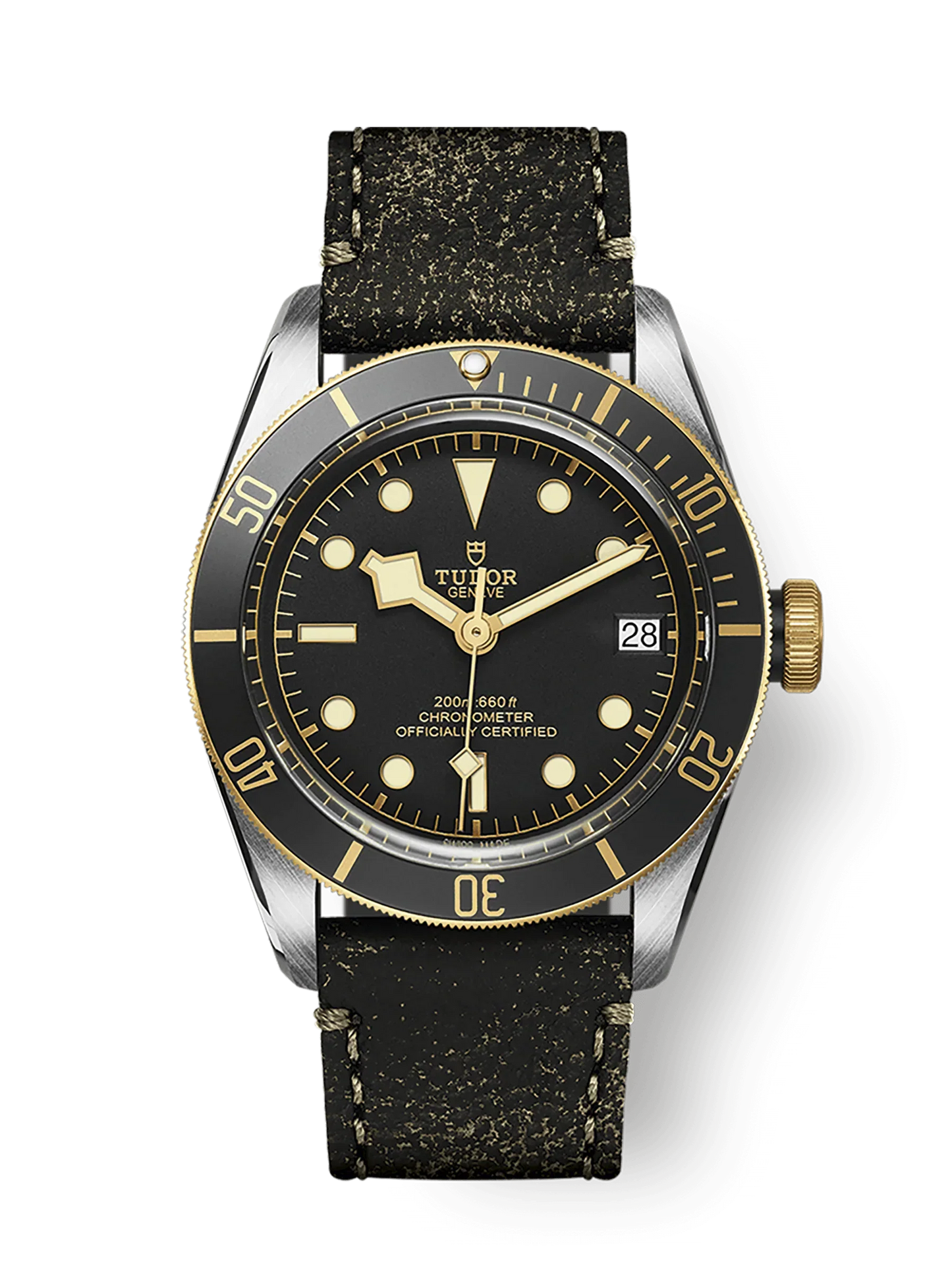 TUDOR BLACK BAY S&G M79733N-0007
