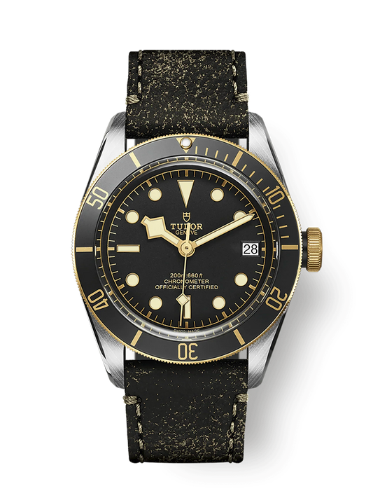 TUDOR BLACK BAY S&G M79733N-0007
