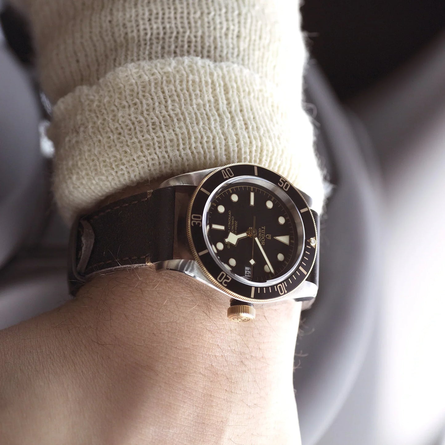 TUDOR BLACK BAY S&G M79733N-0007
