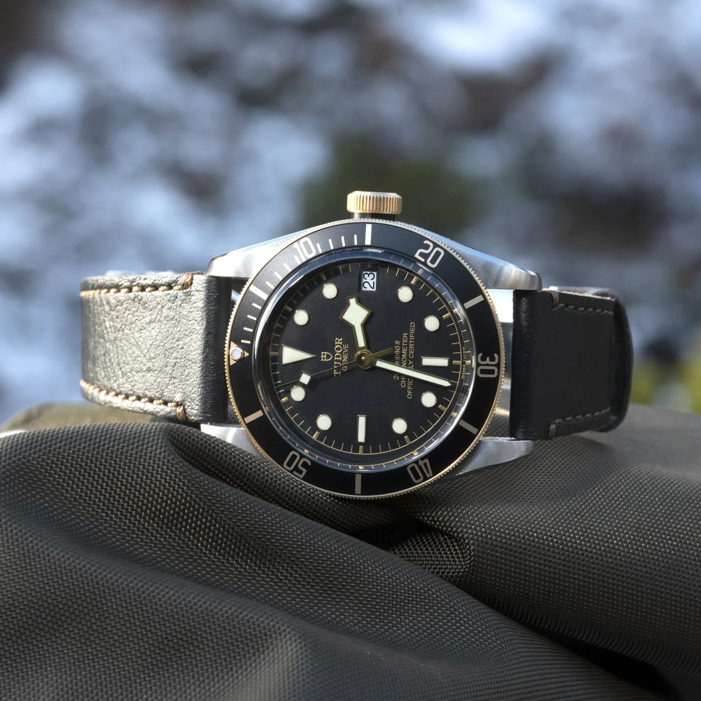 TUDOR BLACK BAY S&G M79733N-0007