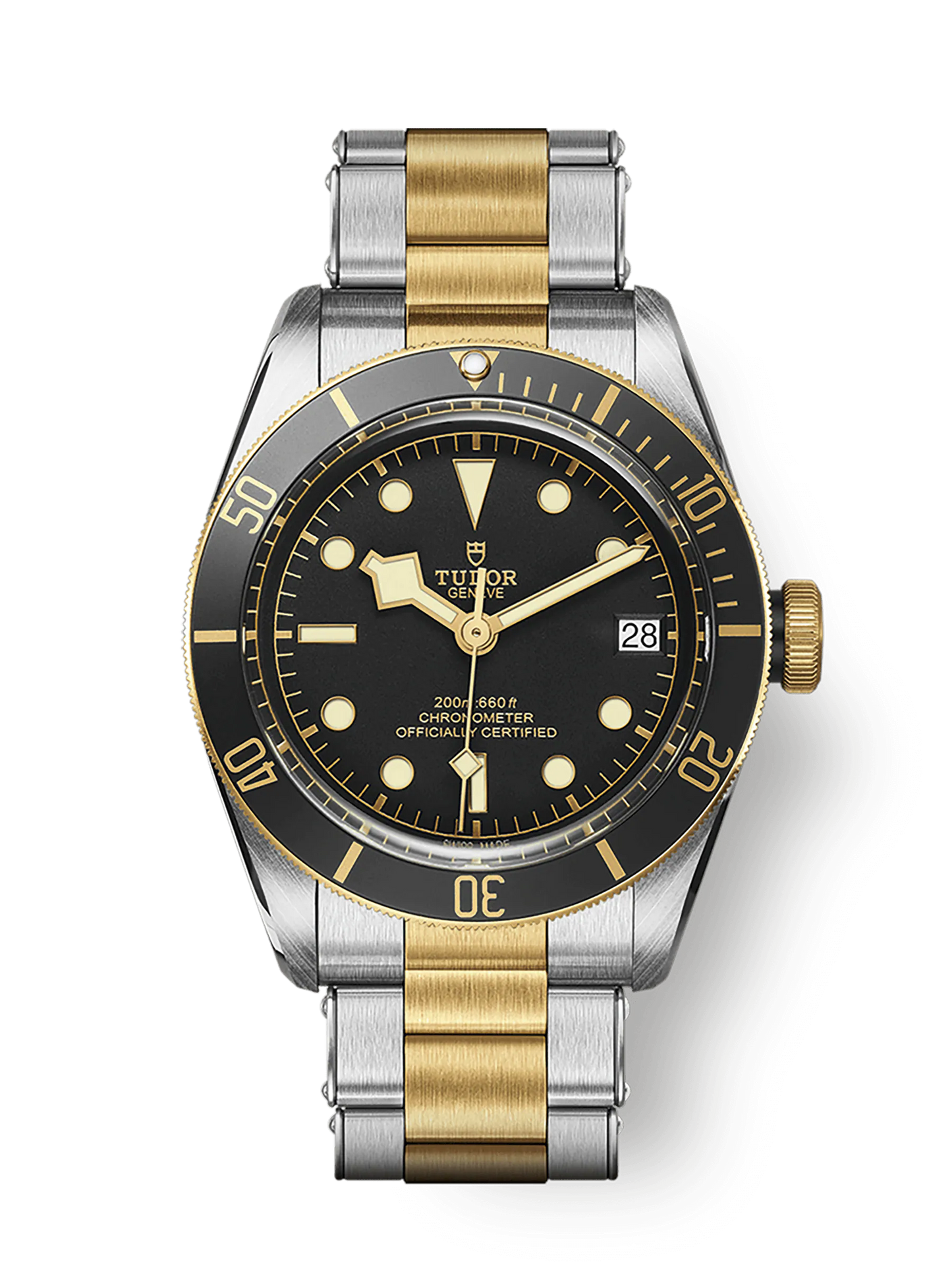 TUDOR BLACK BAY S&G M79733N-0008