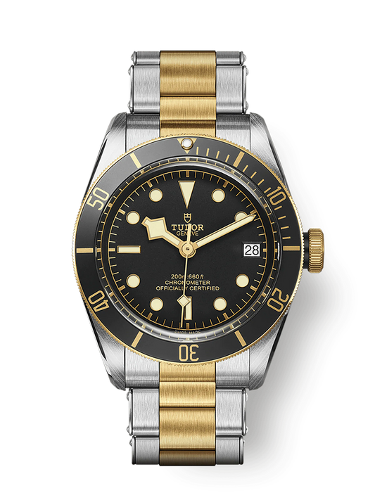 TUDOR BLACK BAY S&G M79733N-0008