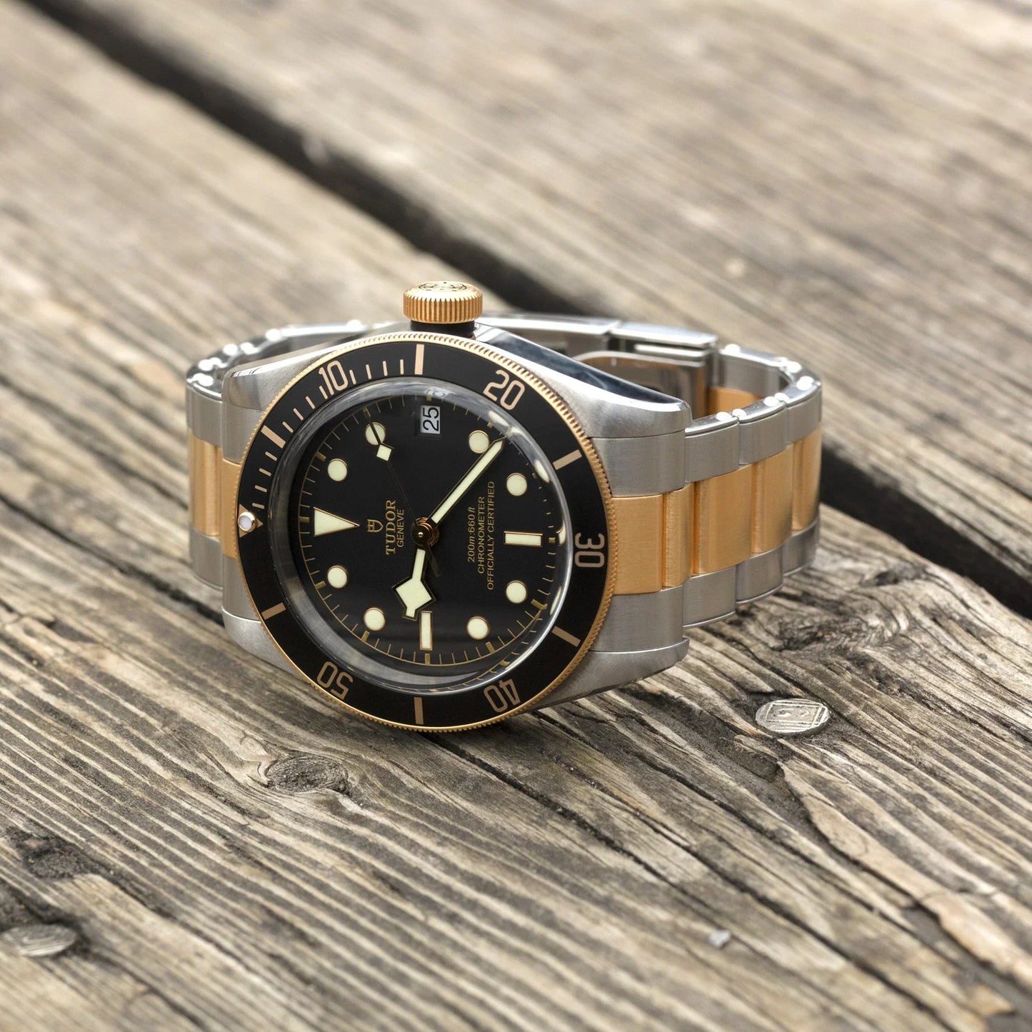 TUDOR BLACK BAY S&G M79733N-0008