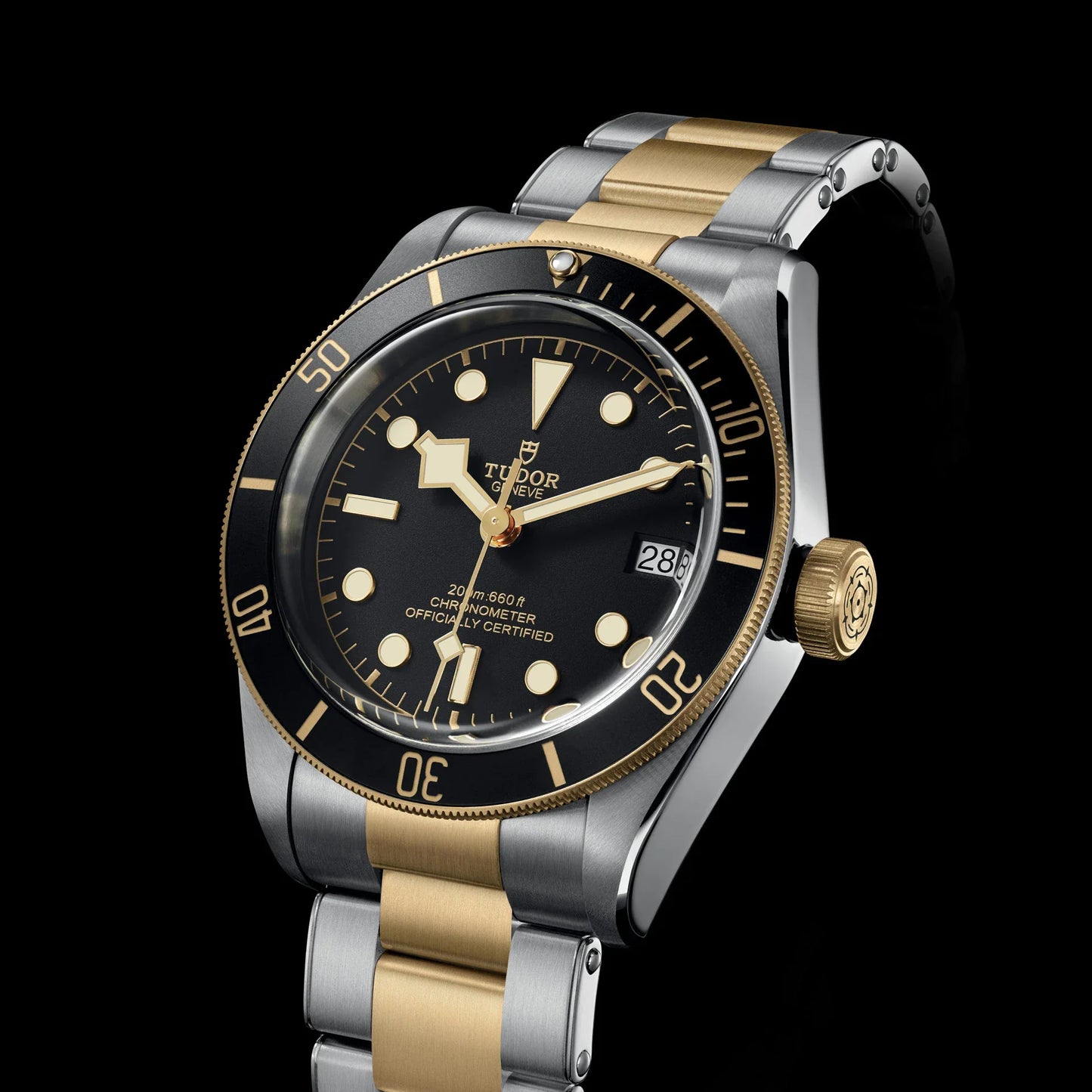 TUDOR BLACK BAY S&G M79733N-0008